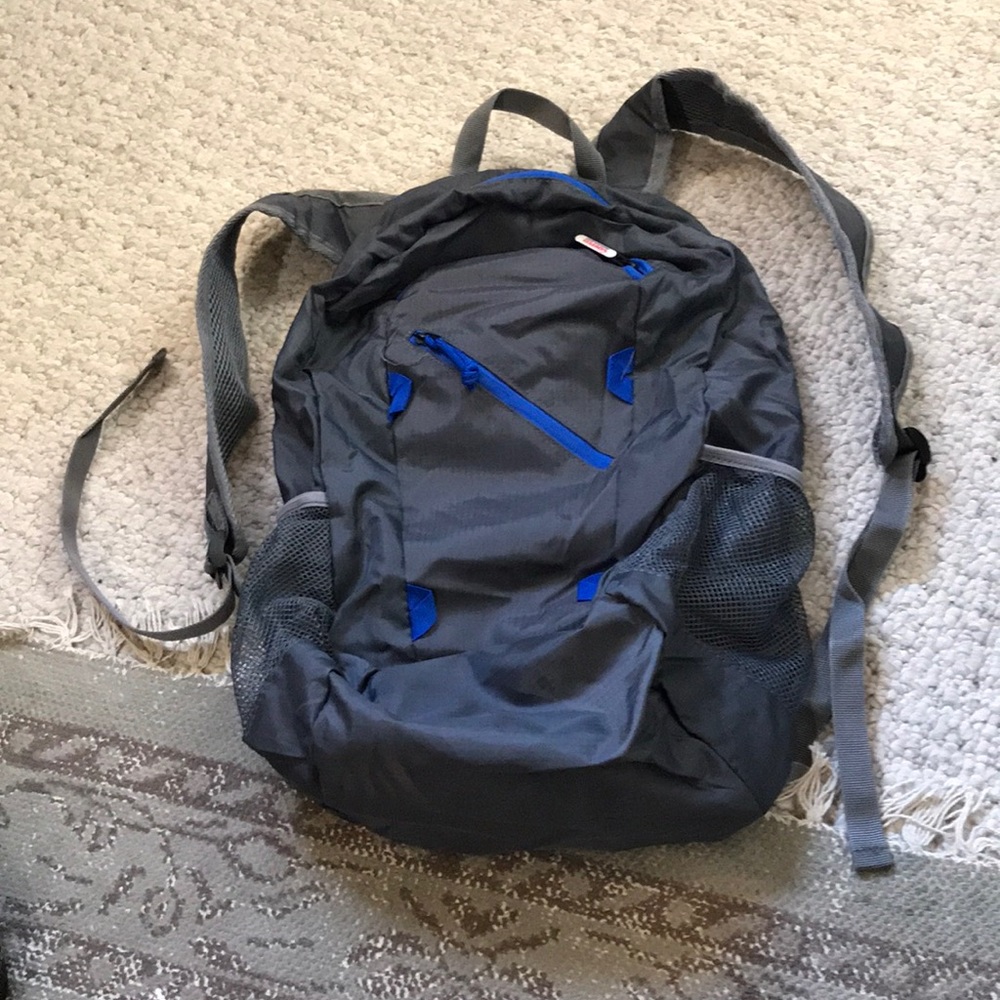 Costco small backpack
